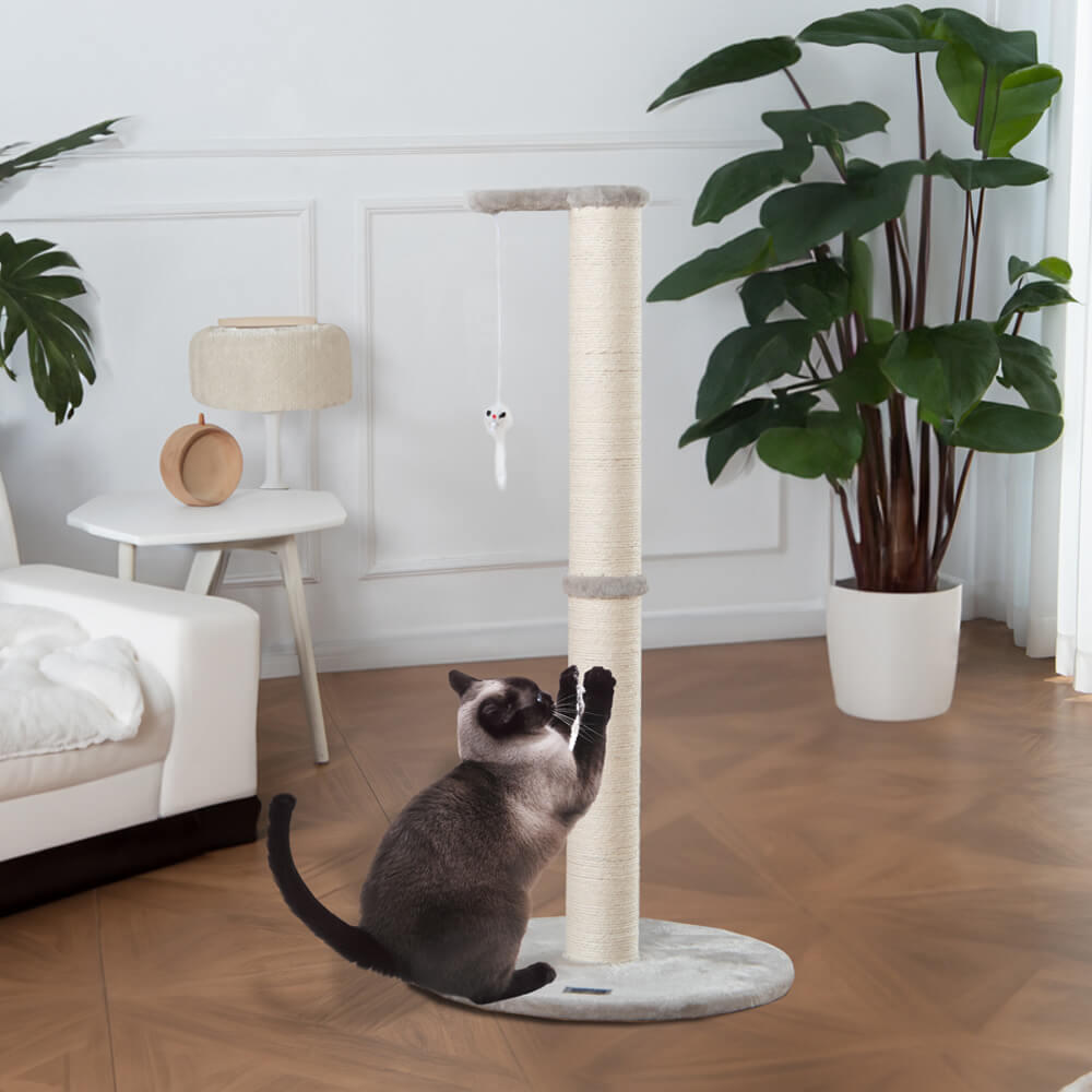 Poteau griffoir sisal NEVA - Gris 2/3