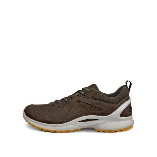 Baskets Ecco Biom Energi