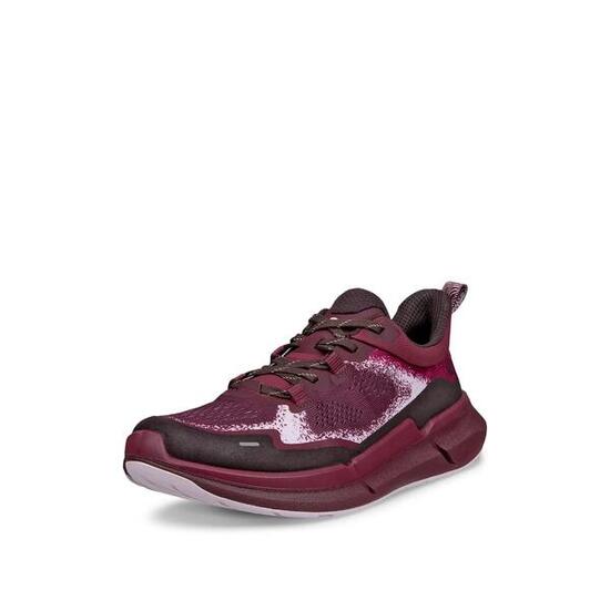 Sneakers Ecco Biom 2.2