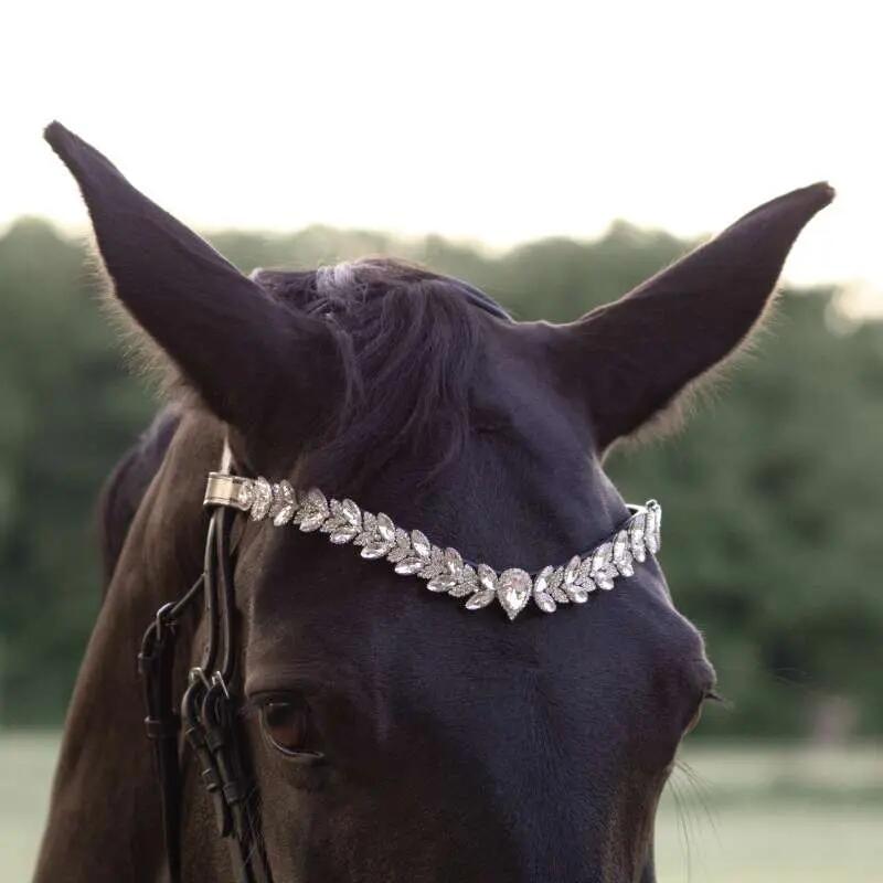 Frontaal voor paard Kavalkade Exquisite 2/2