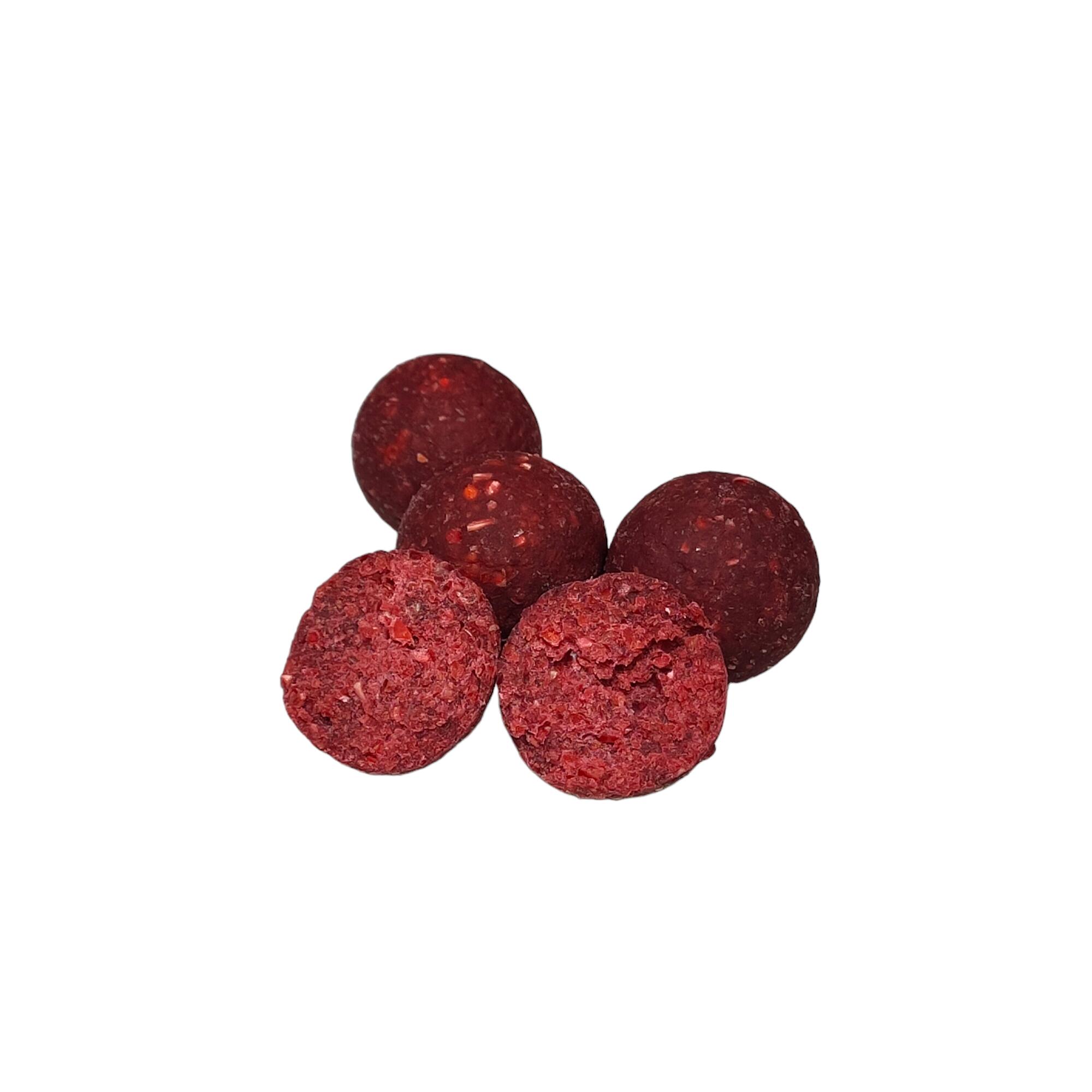 Kulki zanętowe 24mm Warmuz Baits Wiadro 3kg PUNKT G 3kg 24mm WIADRO 4/4