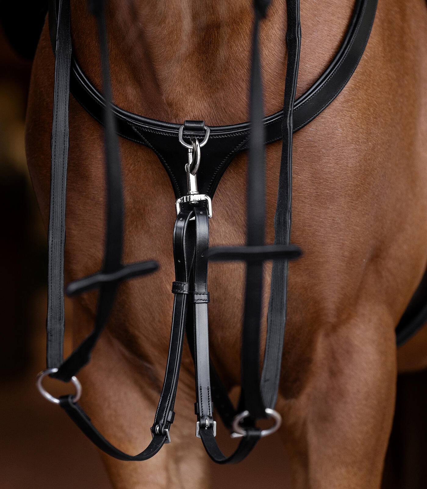 Leather hunting collar for horse Waldhausen X-Line 3/5