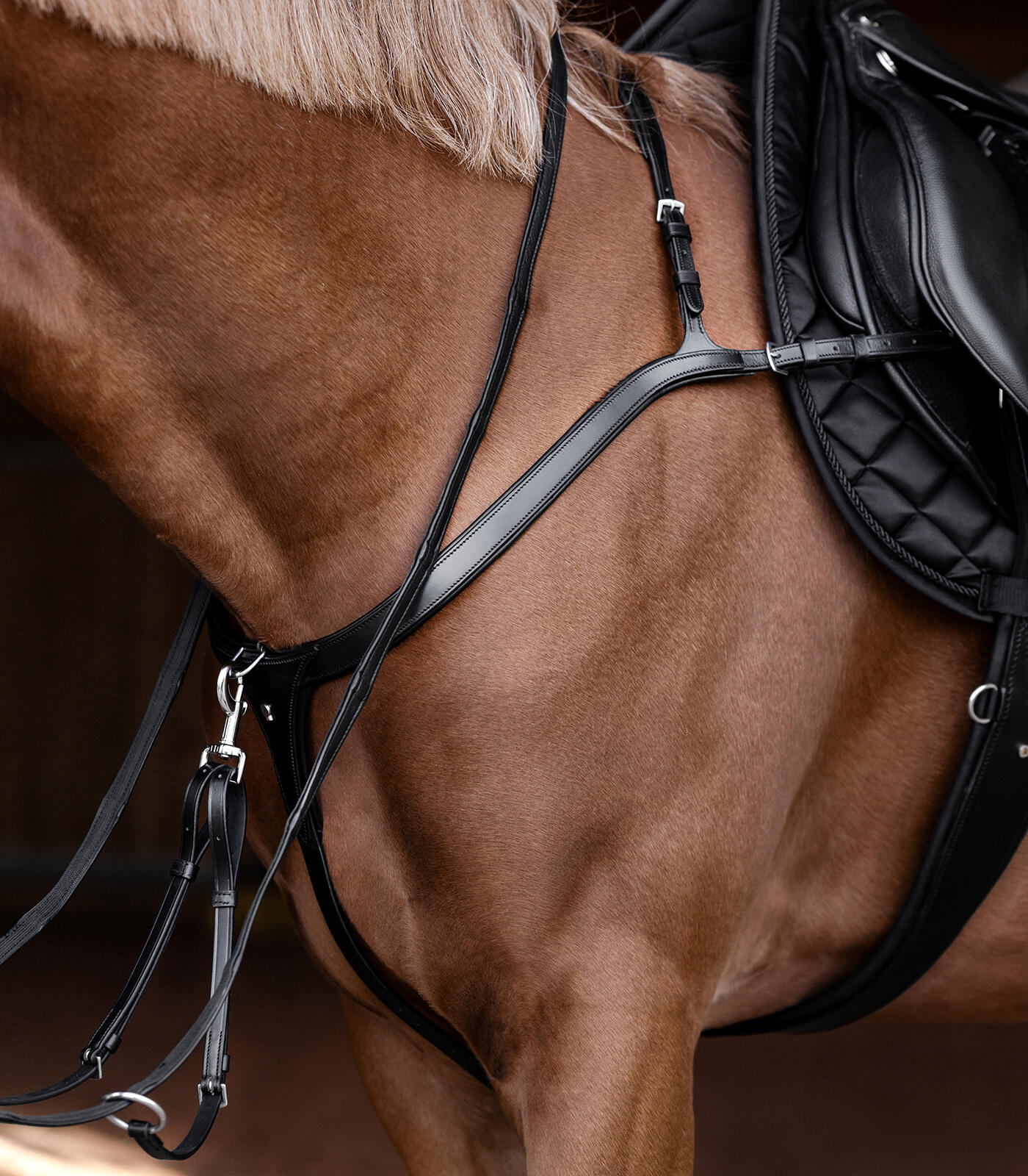 Leather hunting collar for horse Waldhausen X-Line 2/5