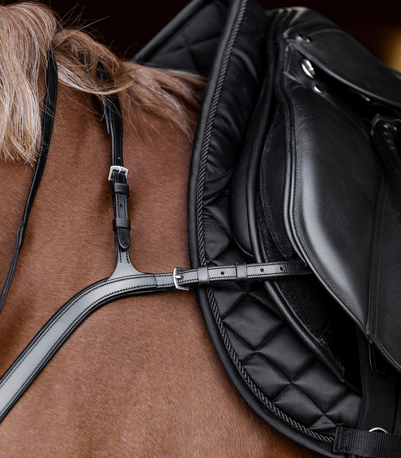 Leather hunting collar for horse Waldhausen X-Line 4/5