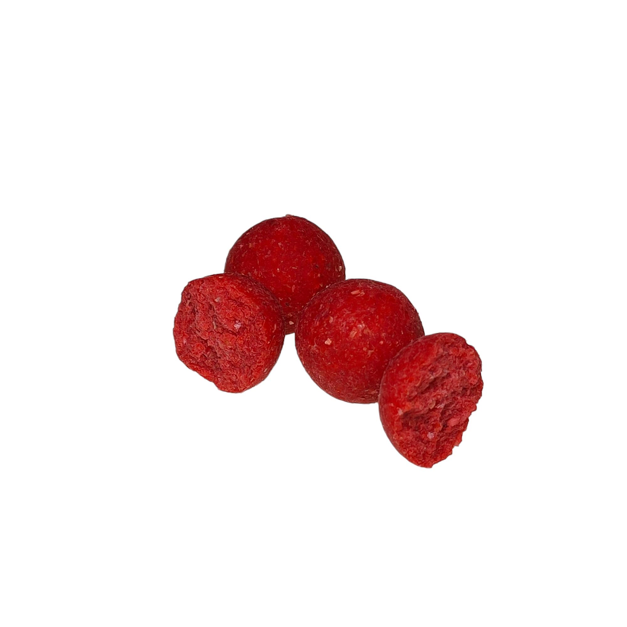Kulki zanętowe 20mm Warmuz Baits Wiadro 2kg TRUSKAWKA KREM 4/4