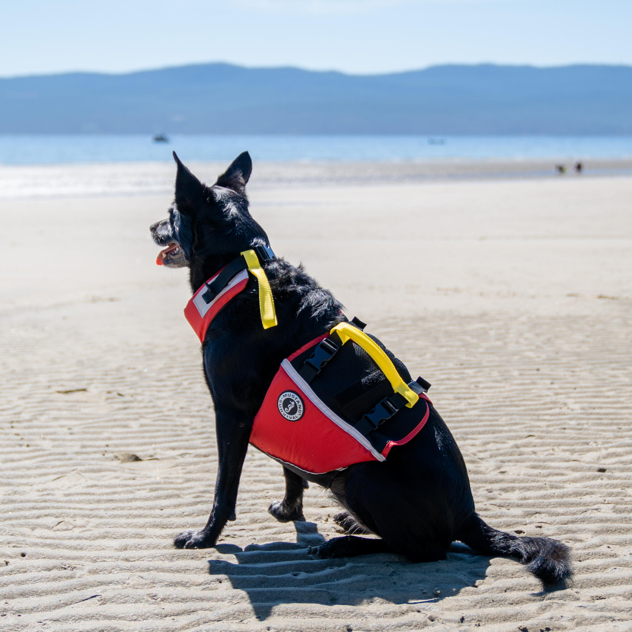 Mustang Survival UnderDog Gilet de sauvetage pour chiens 5/6