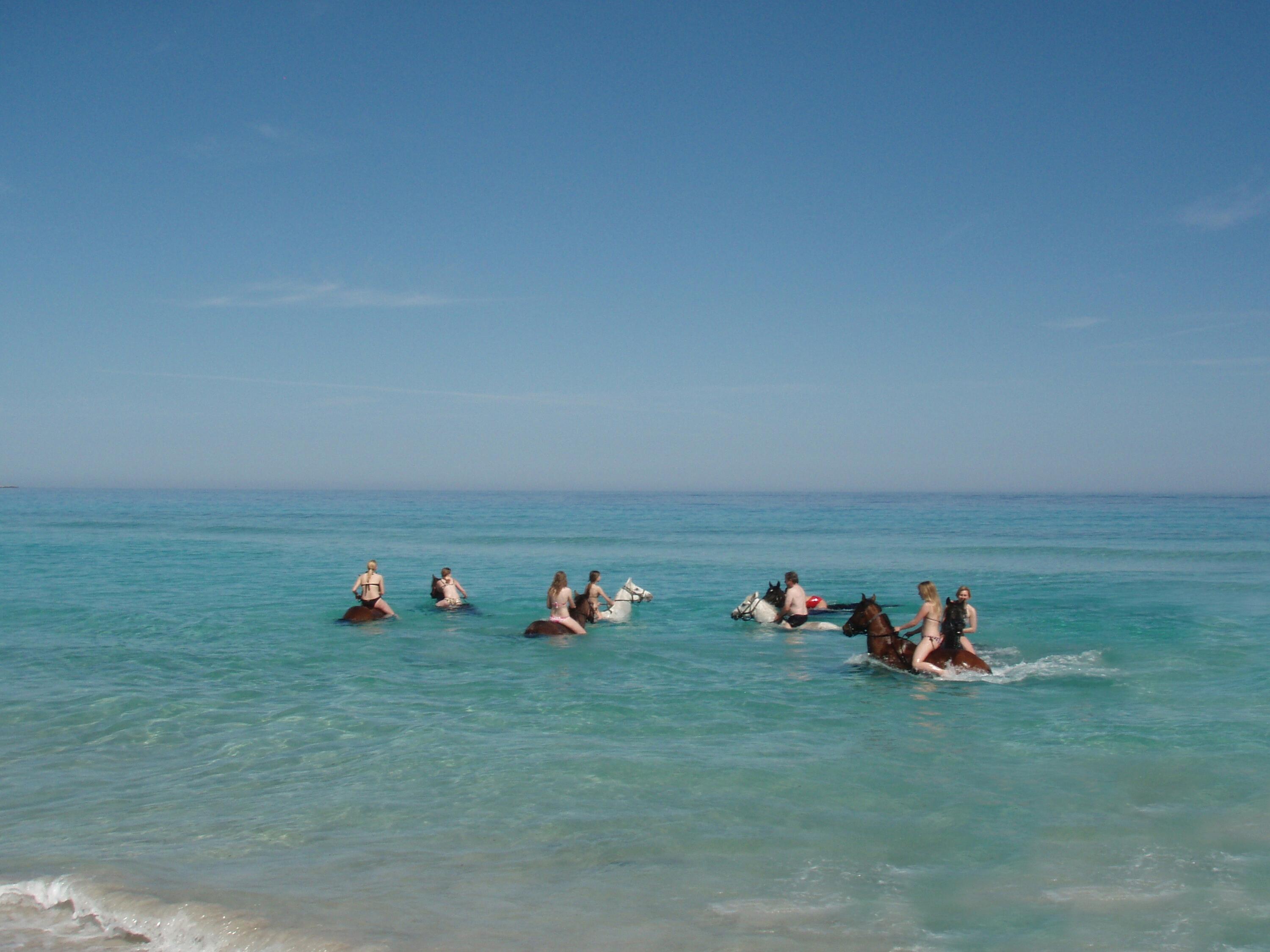 DECATHLON TRAVEL picture