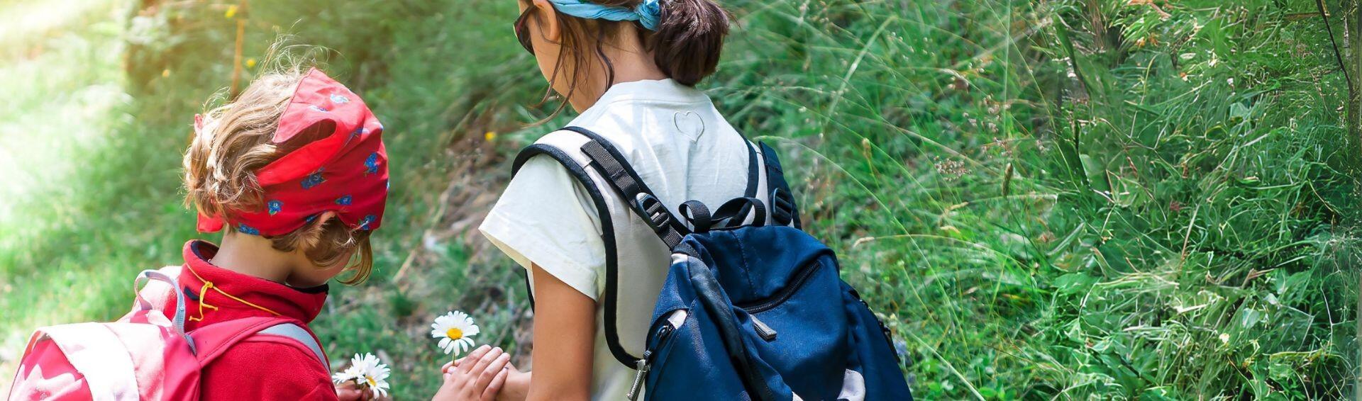 DECATHLON TRAVEL picture