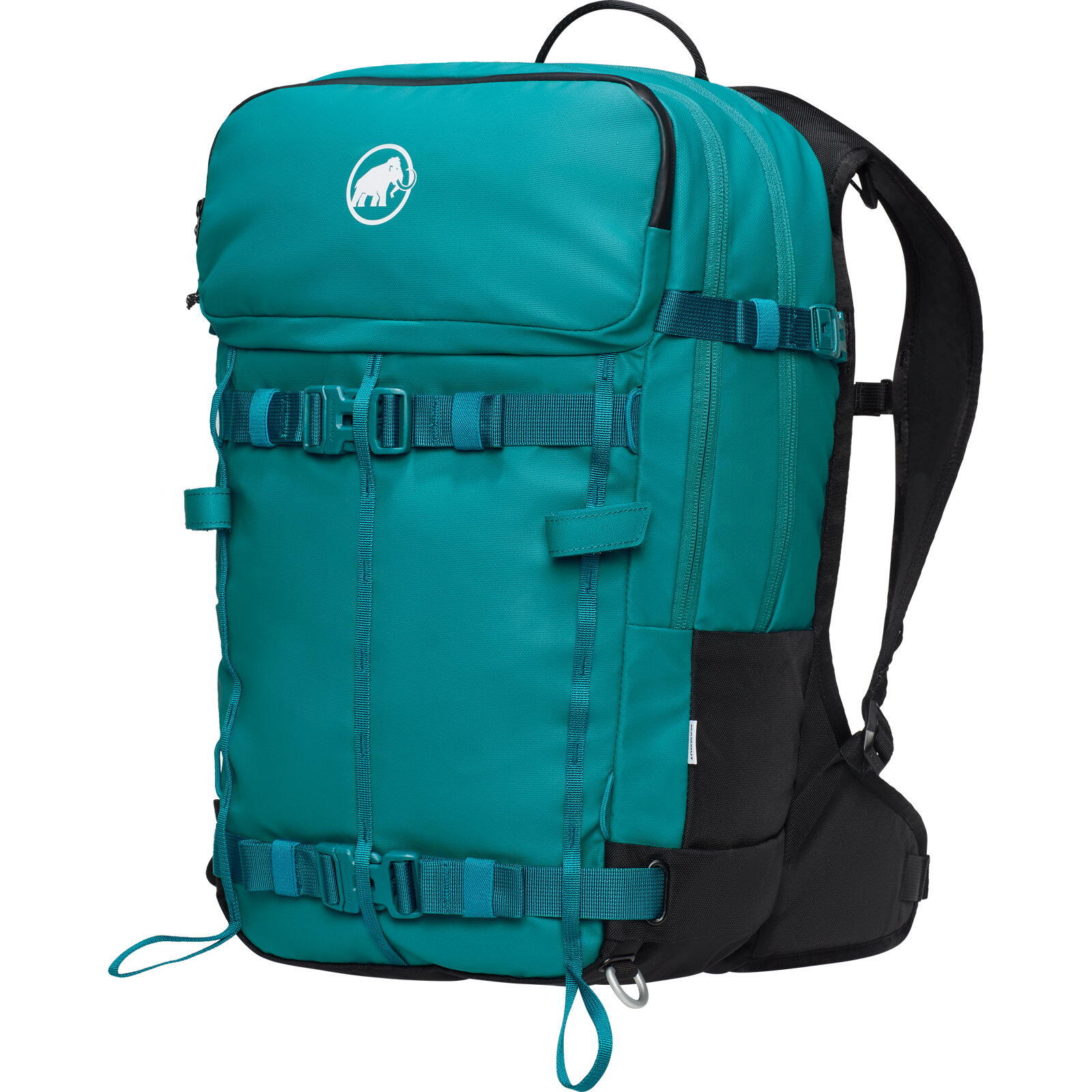 MAMMUT picture