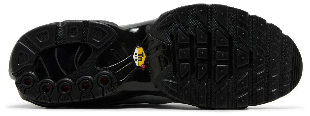 Air Max Plus Tiempo Wolf Grey - Taille : 37.5 EU 3/5