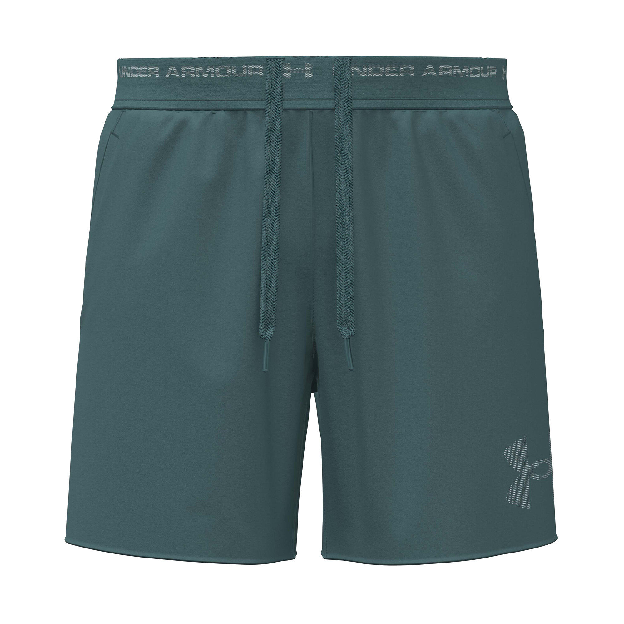 Spodenki treningowe męskie Under Armour Vanish Elite 2/2