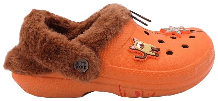 CROCS picture