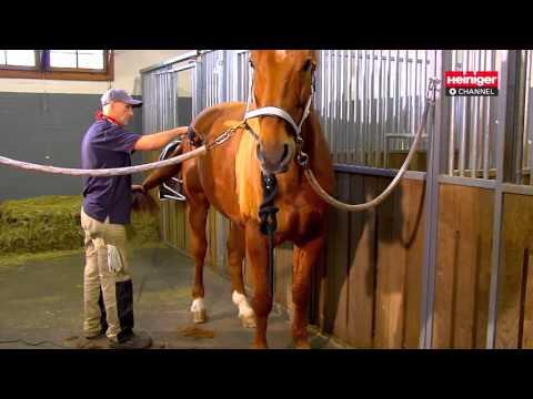 Kabelloser Haarschneider mit 2 Akkus Heiniger Saphir 6/6