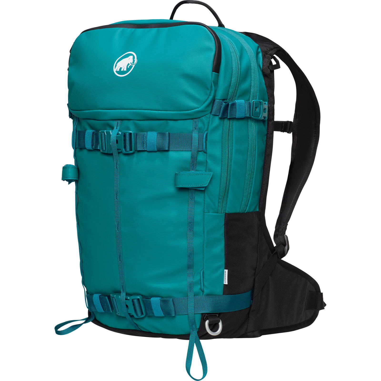 MAMMUT picture