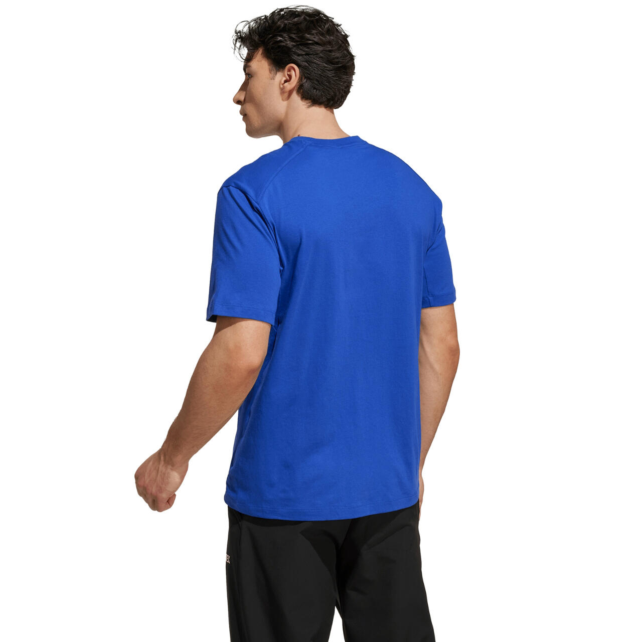 Koszulka męska adidas Terrex Classic Logo 3/6