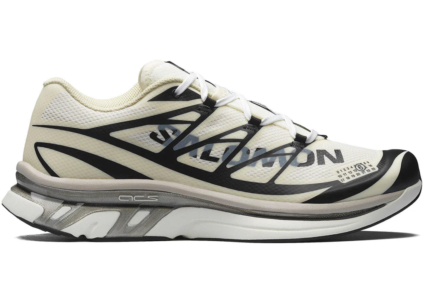 SALOMON picture