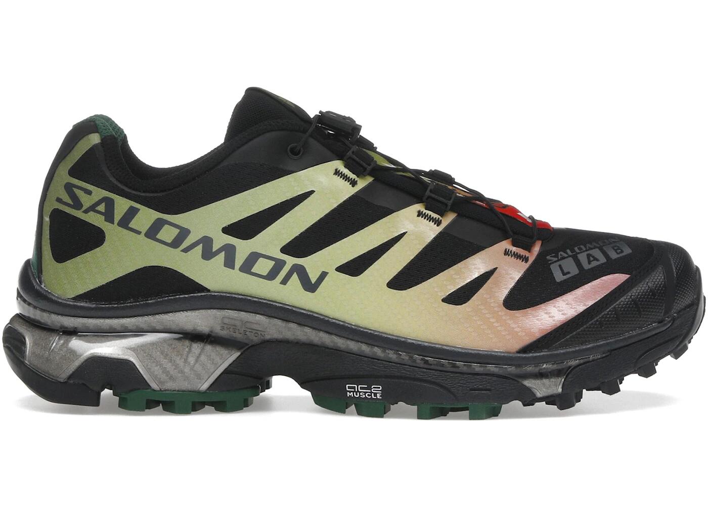SALOMON picture