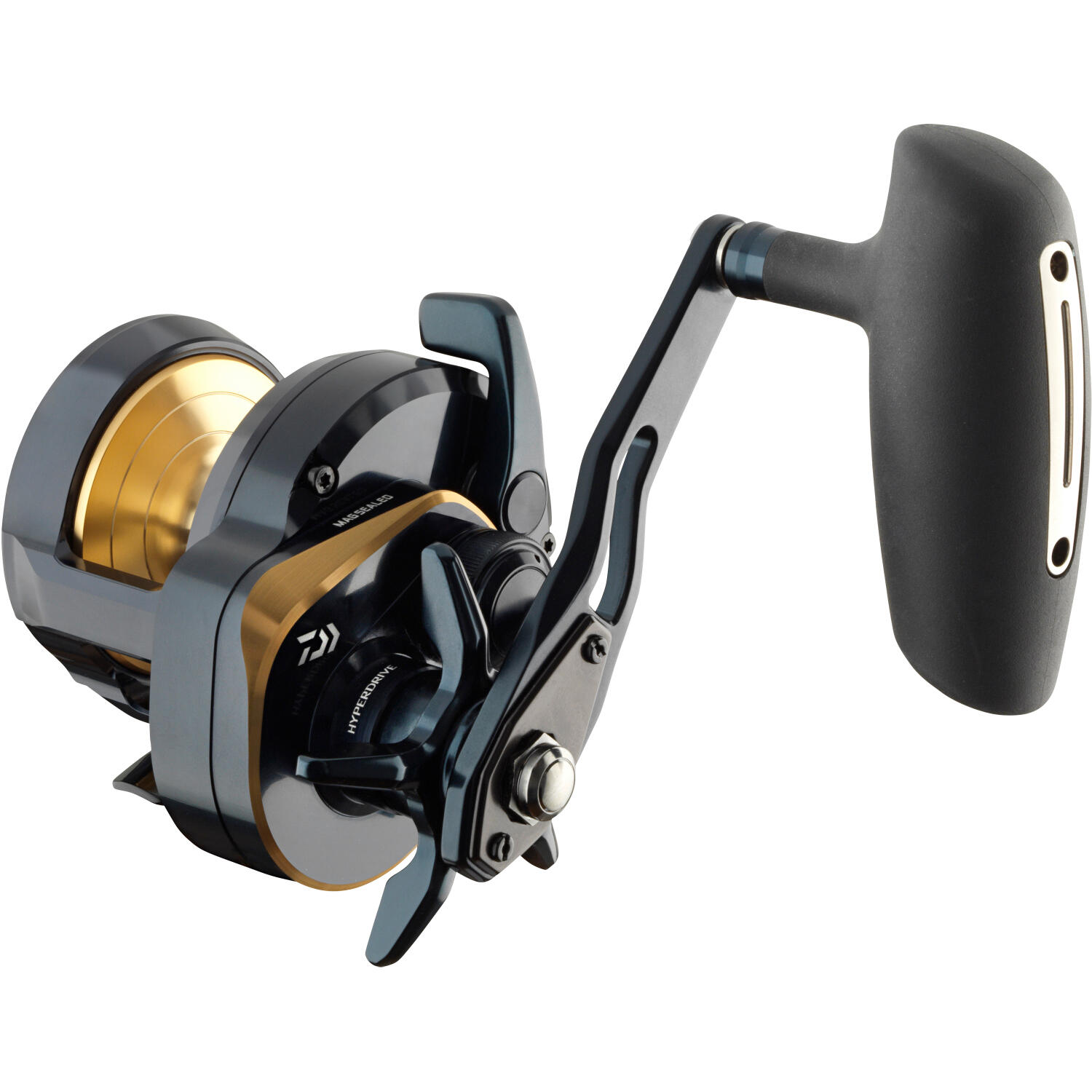 Daiwa 24 Saltiga L 3/3