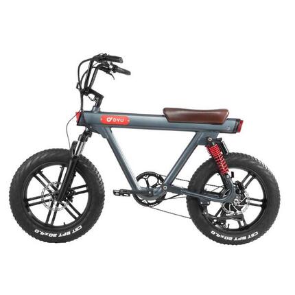 DYU T1 vélo électrique adulte ville, batterie 36V 10Ah, pneu 20 pouces