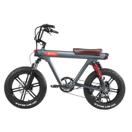 DYU T1 vélo électrique adulte ville, batterie 36V 10Ah, pneu 20 pouces
