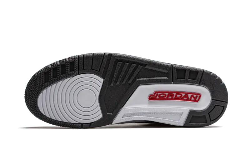 Air Jordan 3 Retro Cool Grey (2021) 4/4