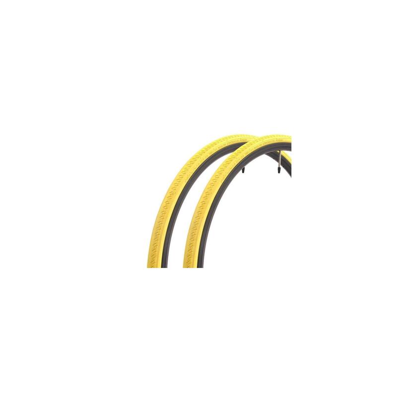b0c6ac37-2c9b-4ba3-8e8a-b17a5b2c6bd9_c22