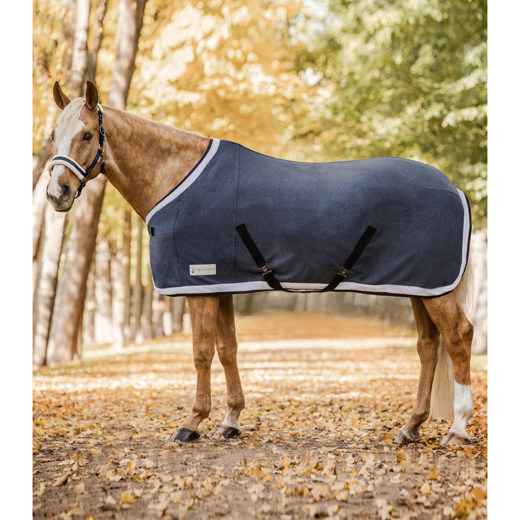 Couverture polaire pour cheval Waldhausen Comfort Esperia Two 1/1