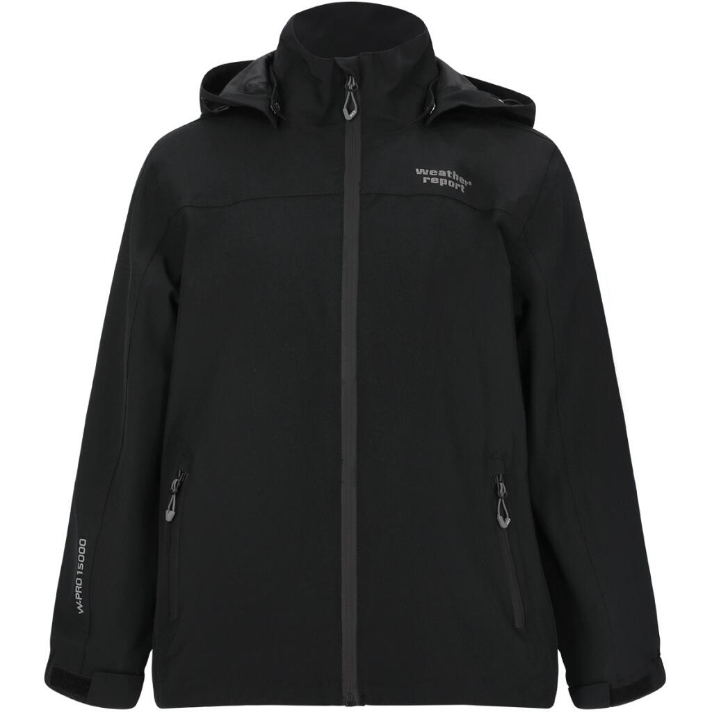 WEATHER REPORT picture