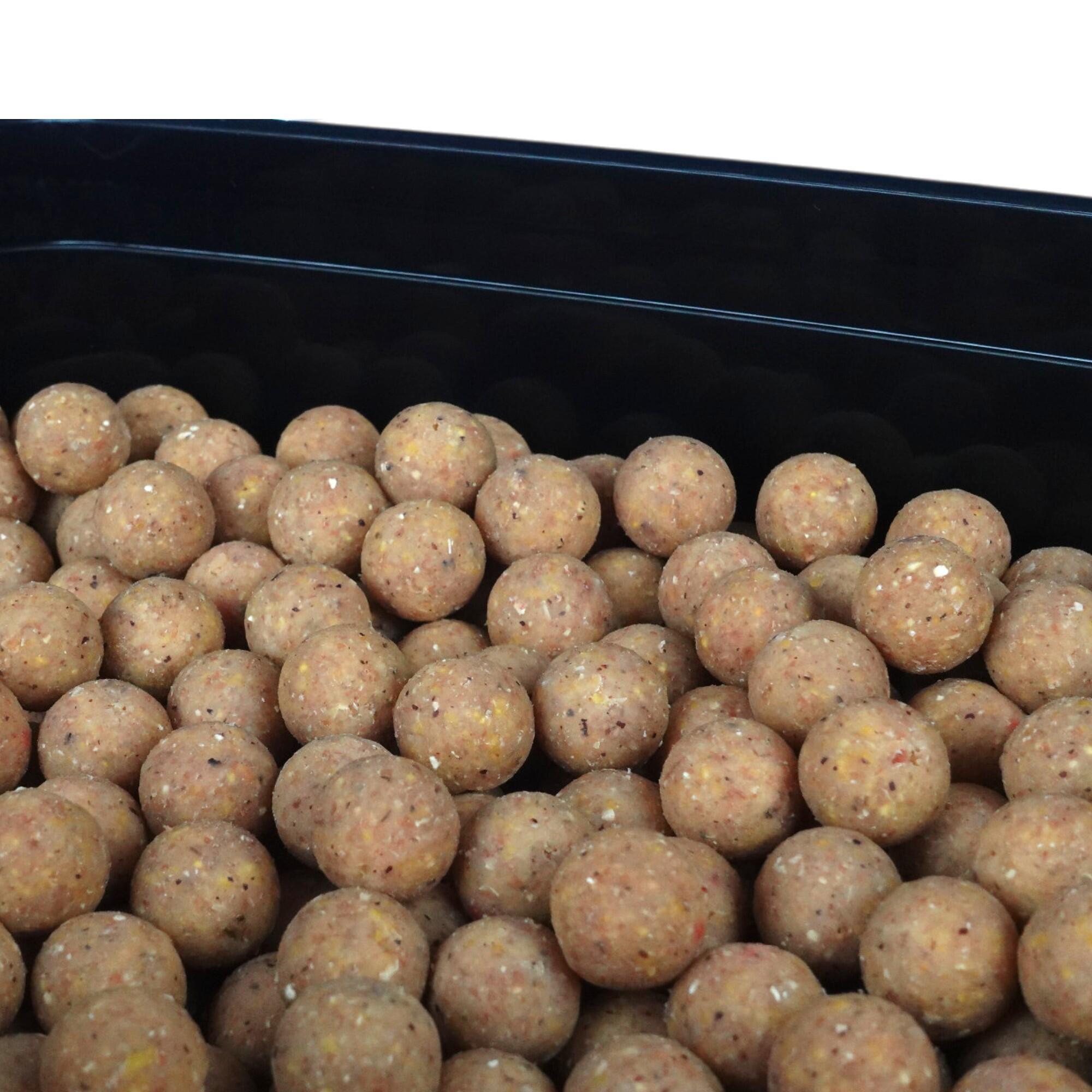 Kulki zanętowe 16mm Warmuz Baits Wiadro 3kg  BIAŁA MAMBA 3/4