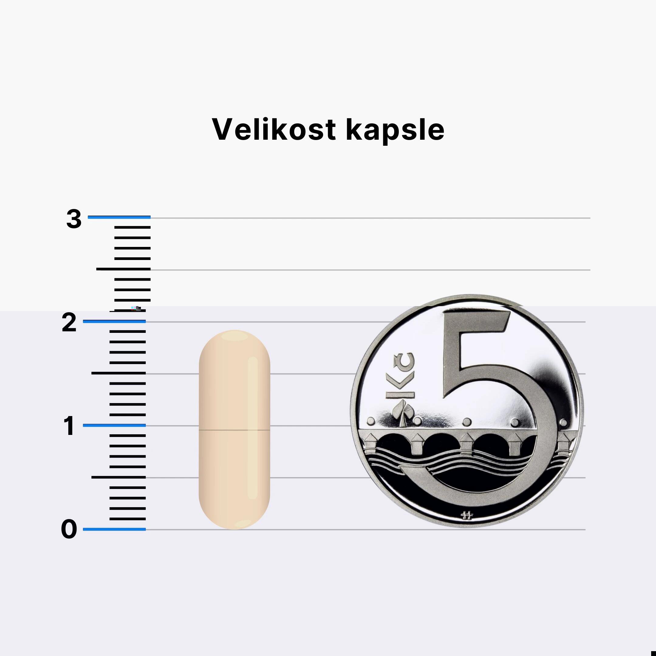 N-acetyl-L-cystein doplněk stravy NAC 3/3
