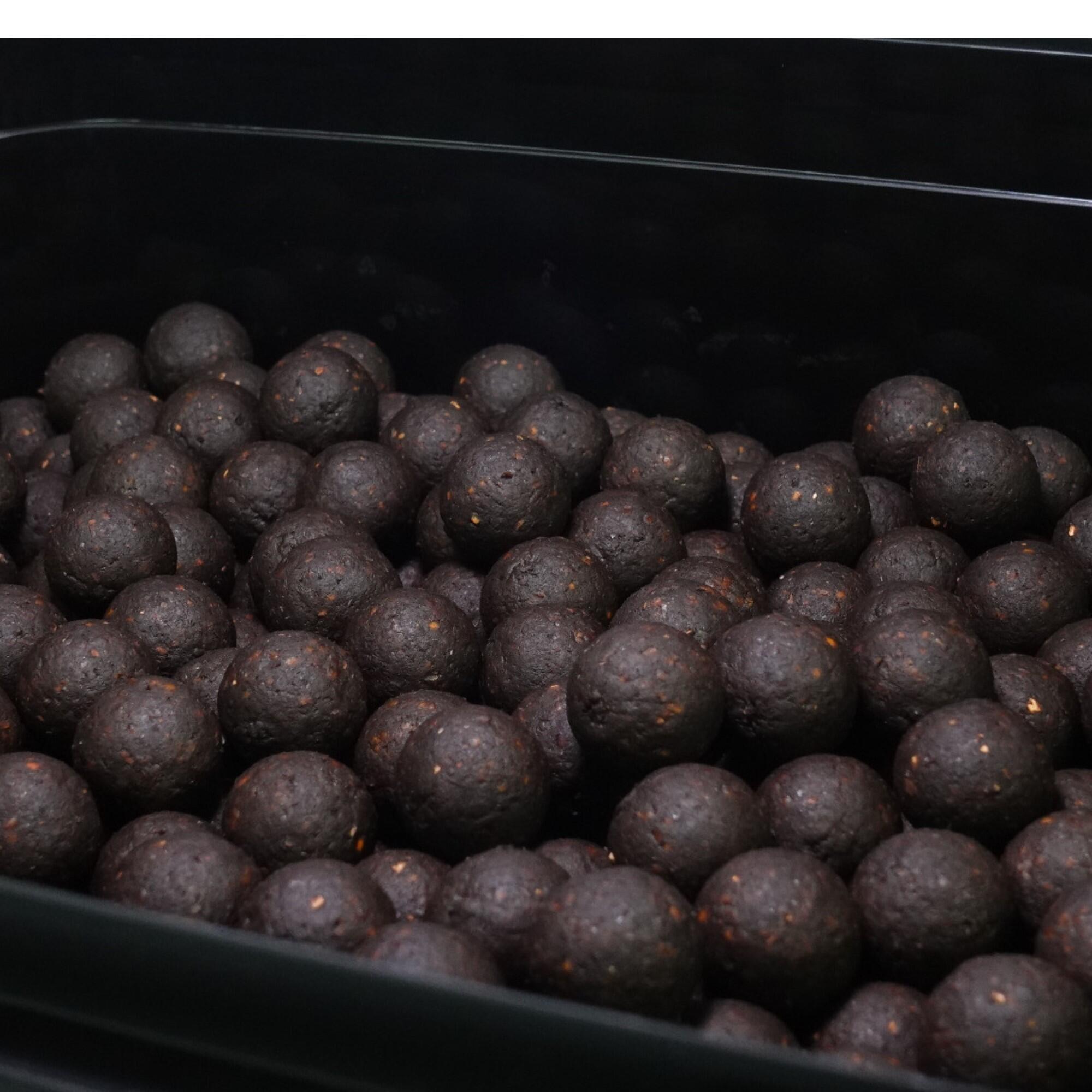 Kulki zanętowe 16mm Warmuz Baits Wiadro 3kg CZARNA MAMBA 3kg 16mm WIADRO 3/3