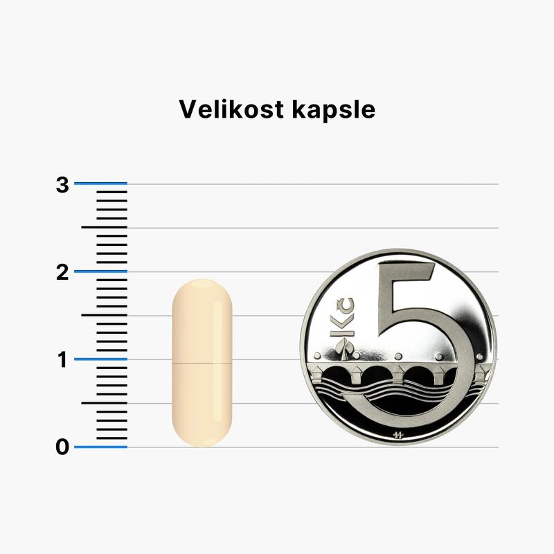 Kyselina listová v aktivní formě Methyl Folate