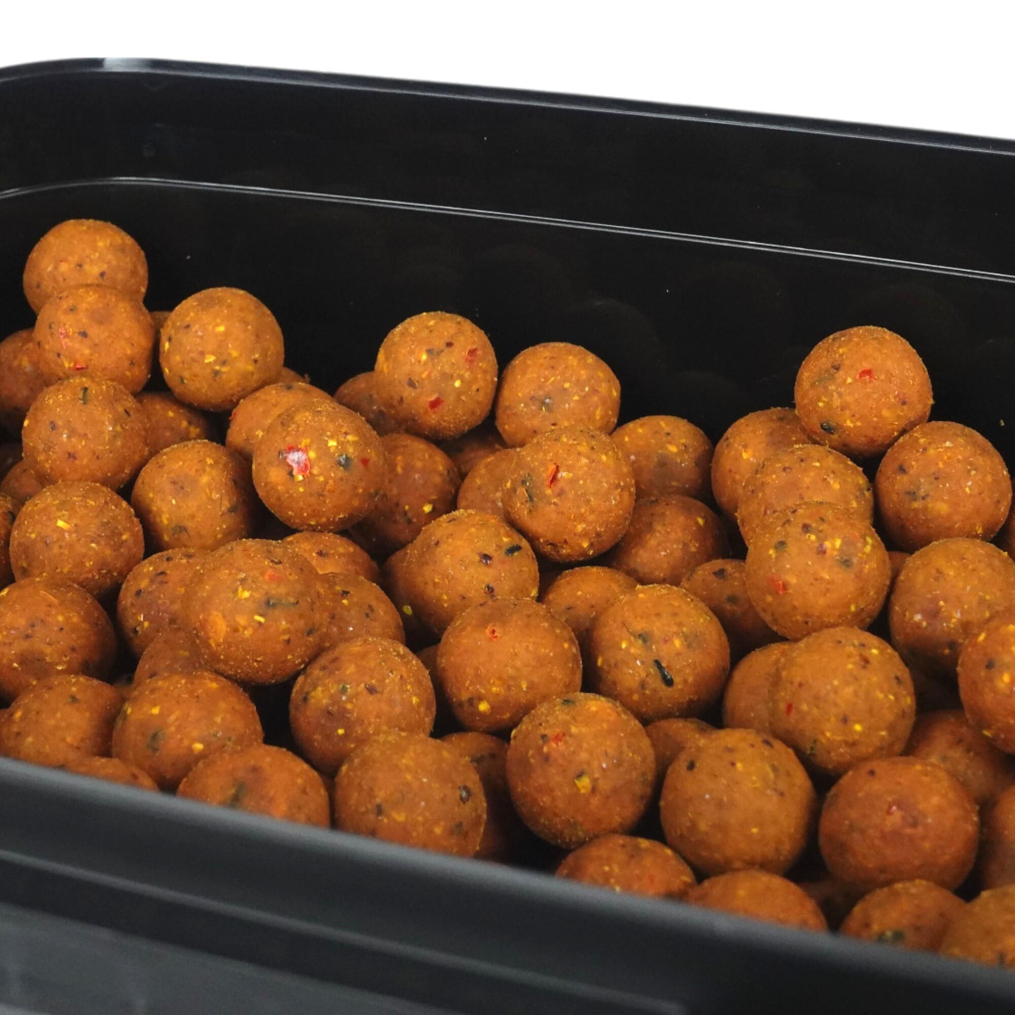 Kulki zanętowe 20mm Warmuz Baits Wiadro 3kg ZŁOTA KULKA 3/3