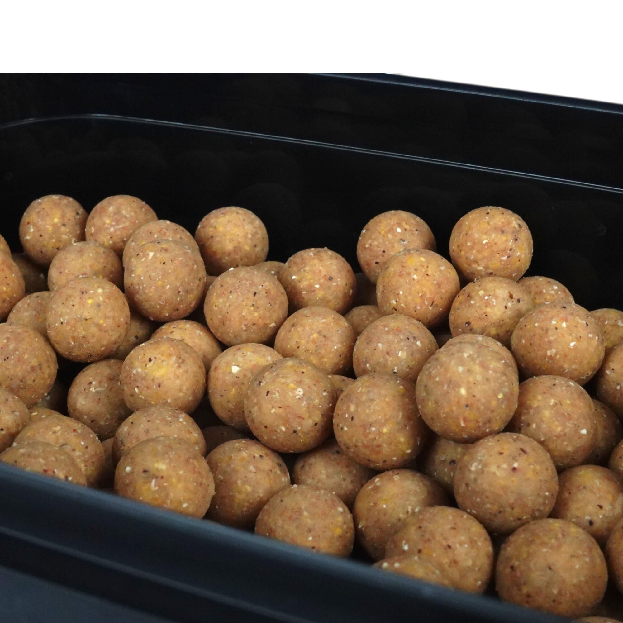 Kulki zanętowe 20mm Warmuz Baits Wiadro 3kg BIAŁA MAMBA 3/4