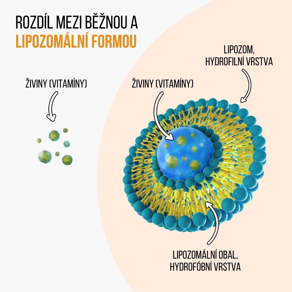Imunitní doplněk stravy IMMUNIZER!® 7/7