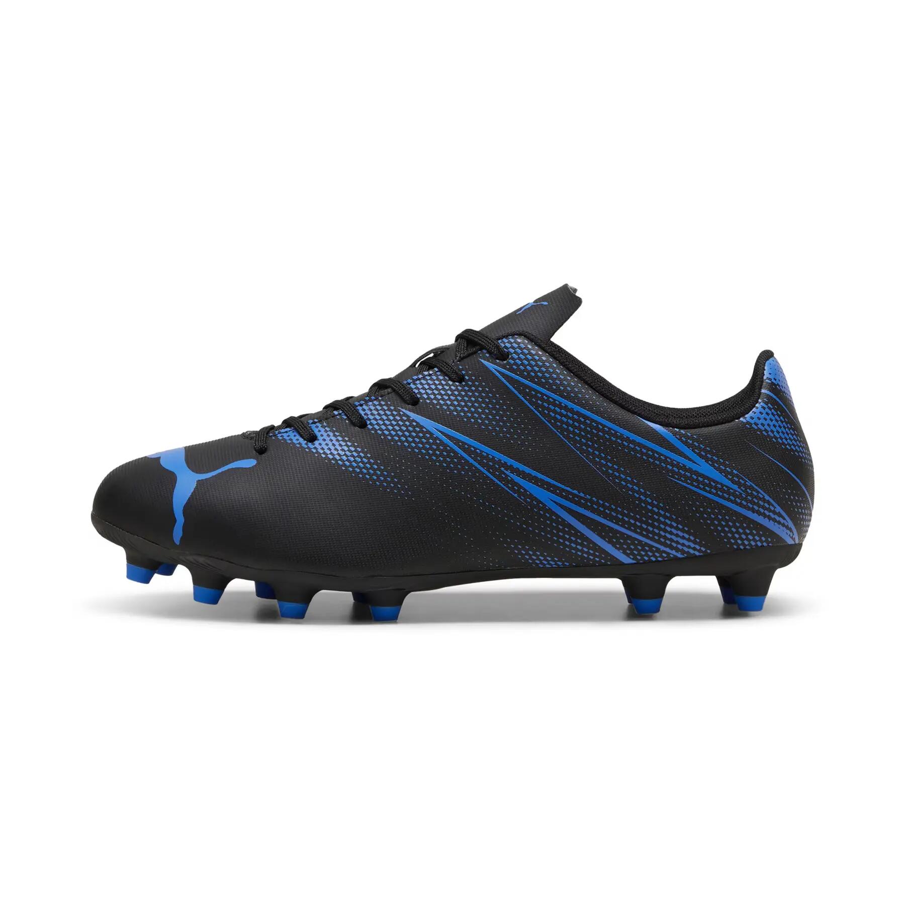 PUMA picture