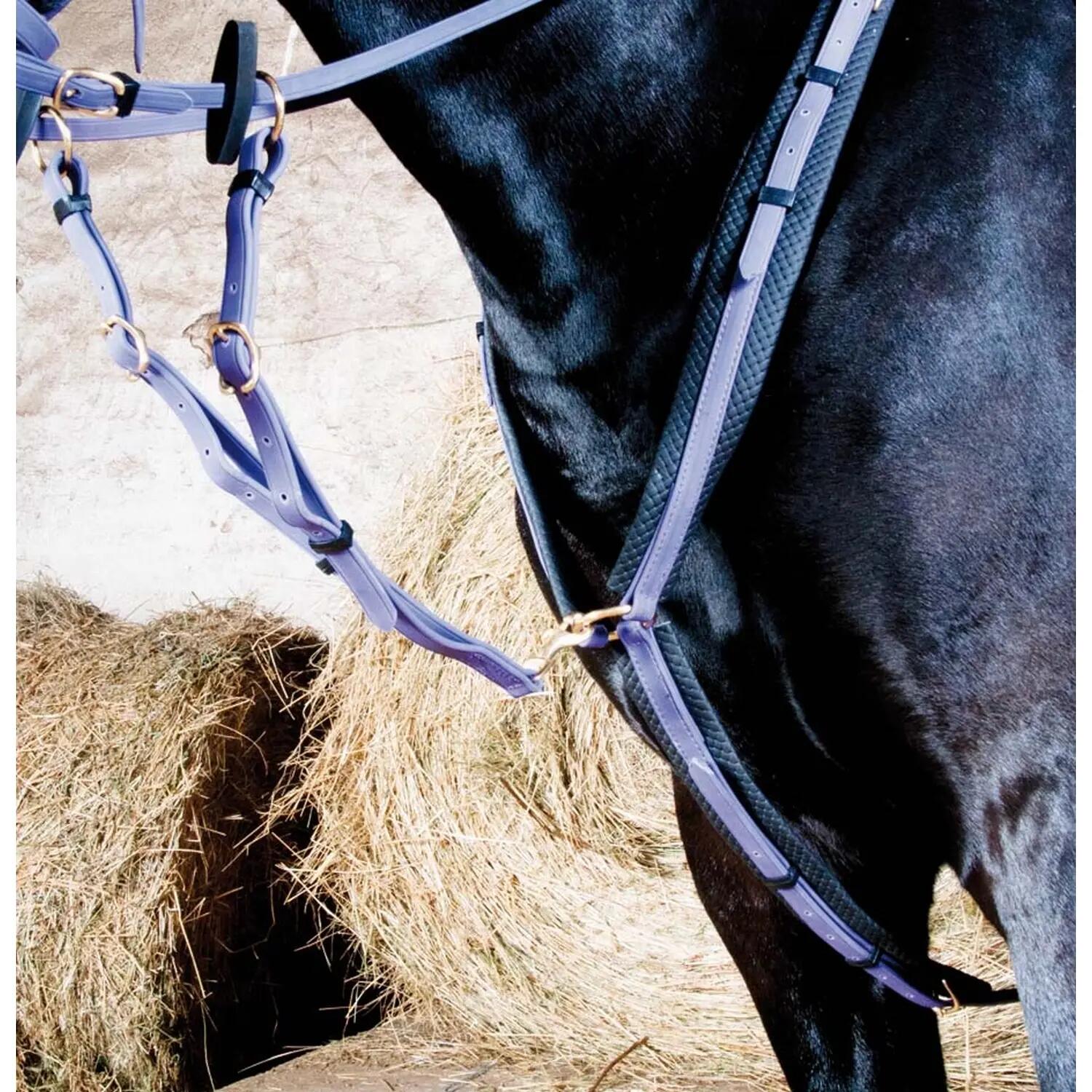 Collar de caza para caballos T de T 5/5