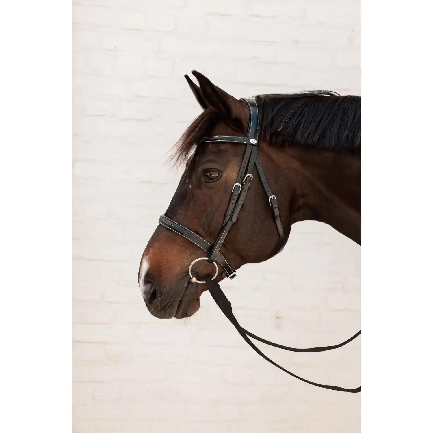 Cavezza da equitazione combinata all'inglese con nasello anatomico Dy'on Hunter 2/3