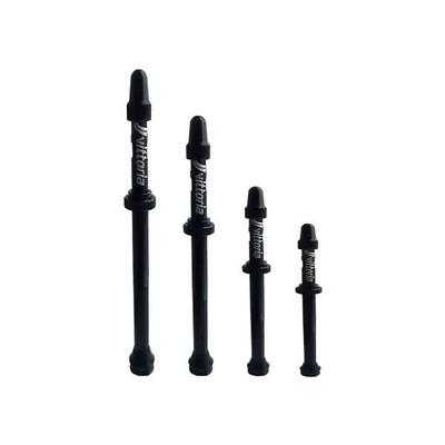 Tubeless ventiel vittoria (x2)