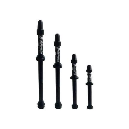 Tubeless-Ventil Vittoria (x2)