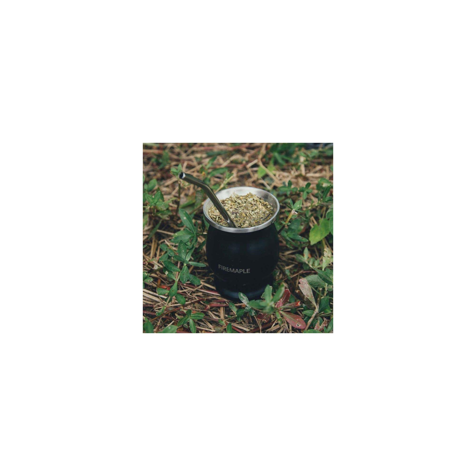 Kubek turystyczny Orca Yerbamate Cup 200Ml