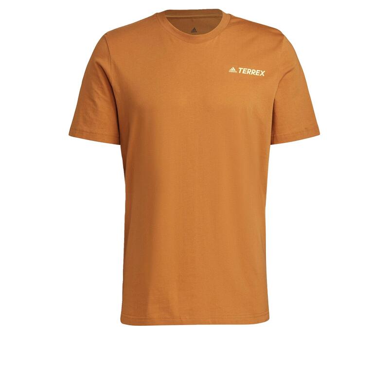 T-shirt Terrex Mountain Graphic