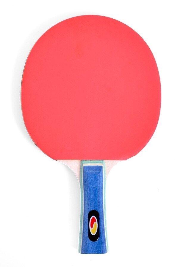 Raqueta de ping-pong SMJ Faster 2/4