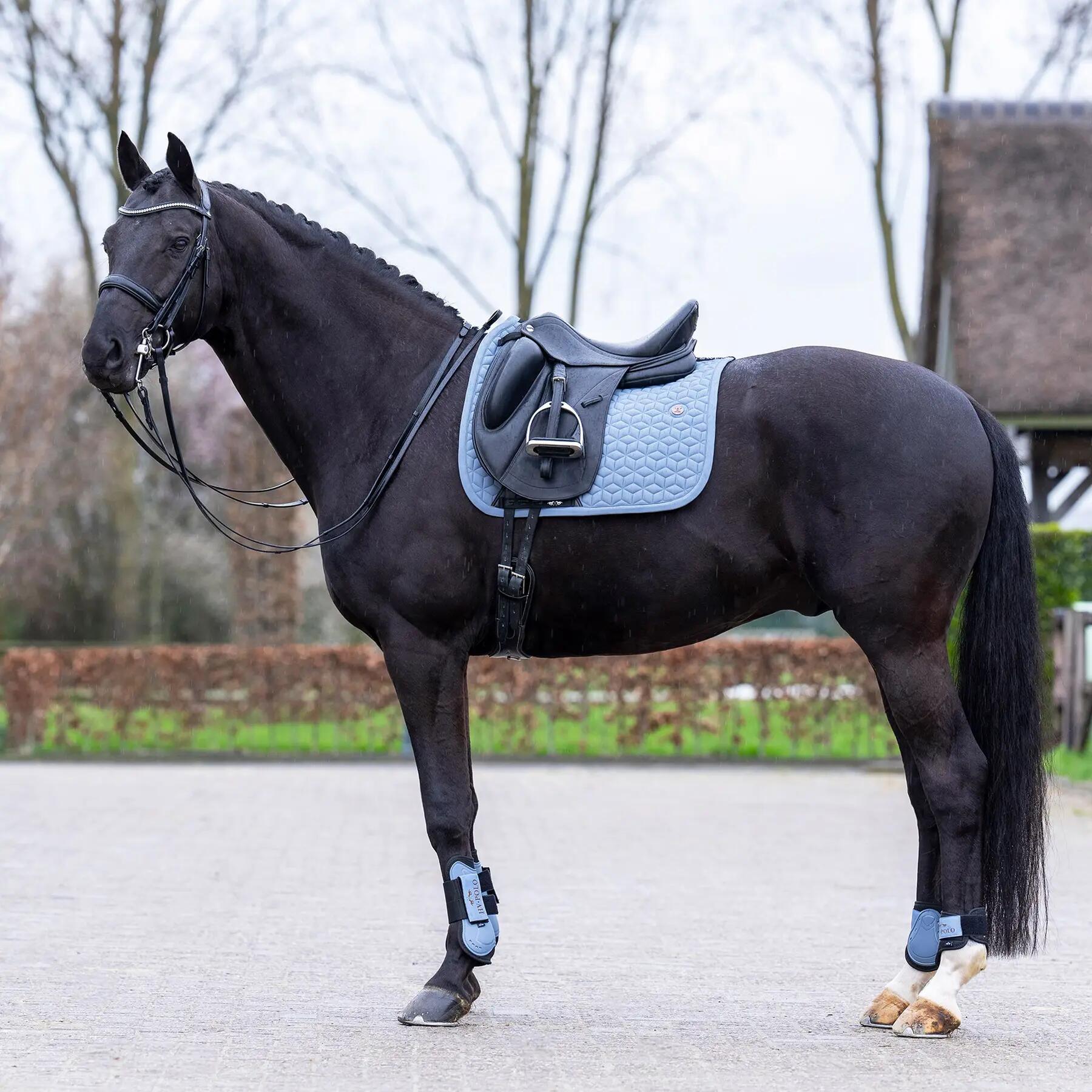 Tapis de dressage pour cheval HV Polo Essential DR 2/3