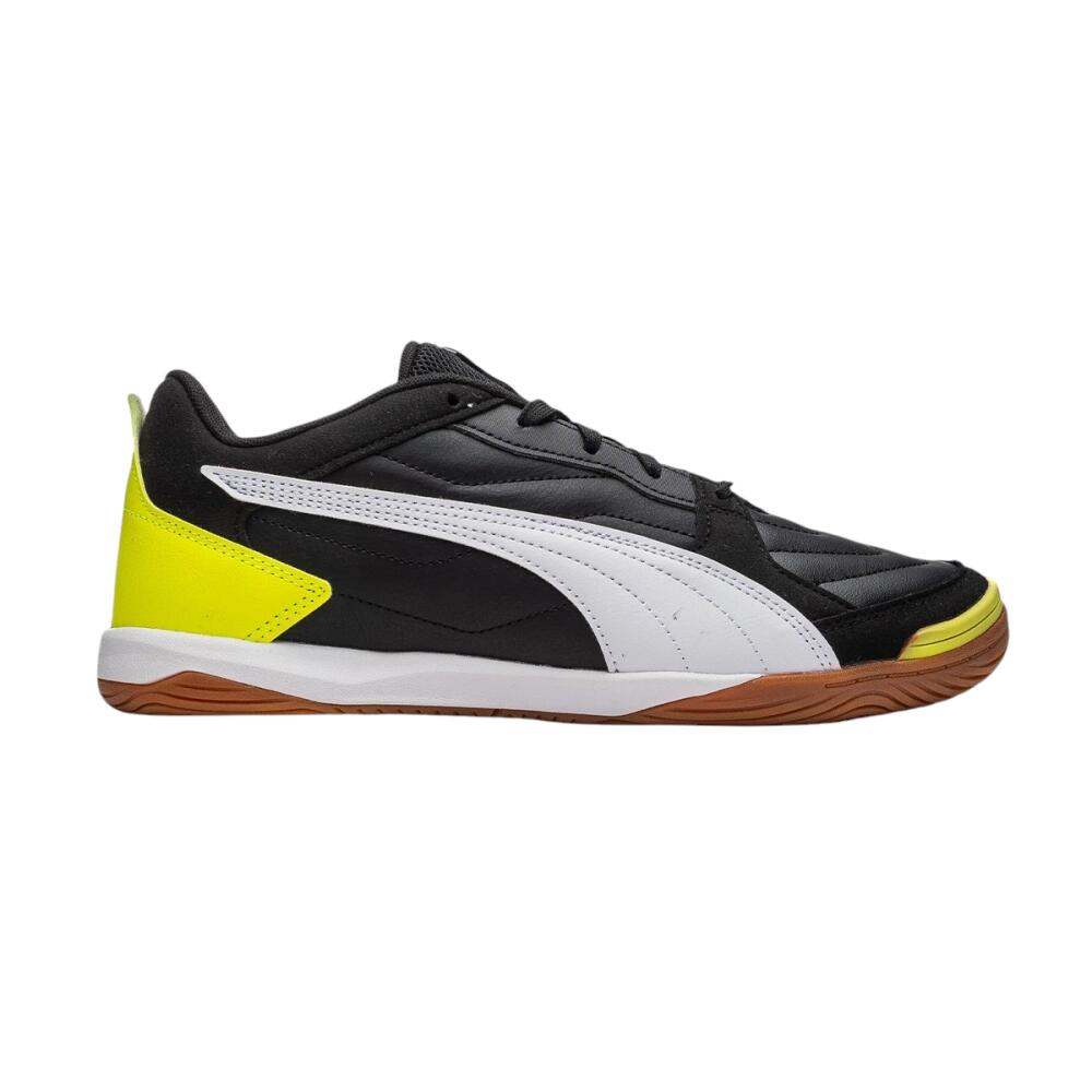 PUMA picture