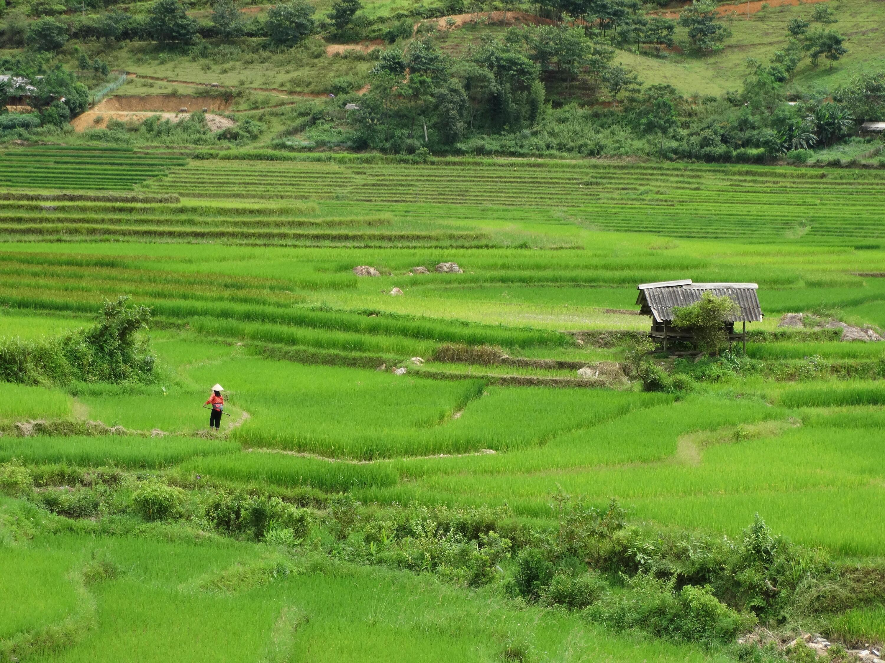 DECATHLON TRAVEL picture