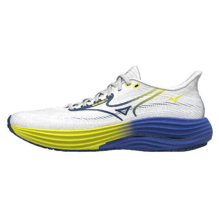 Chaussures de running Mizuno Wave Rider 29