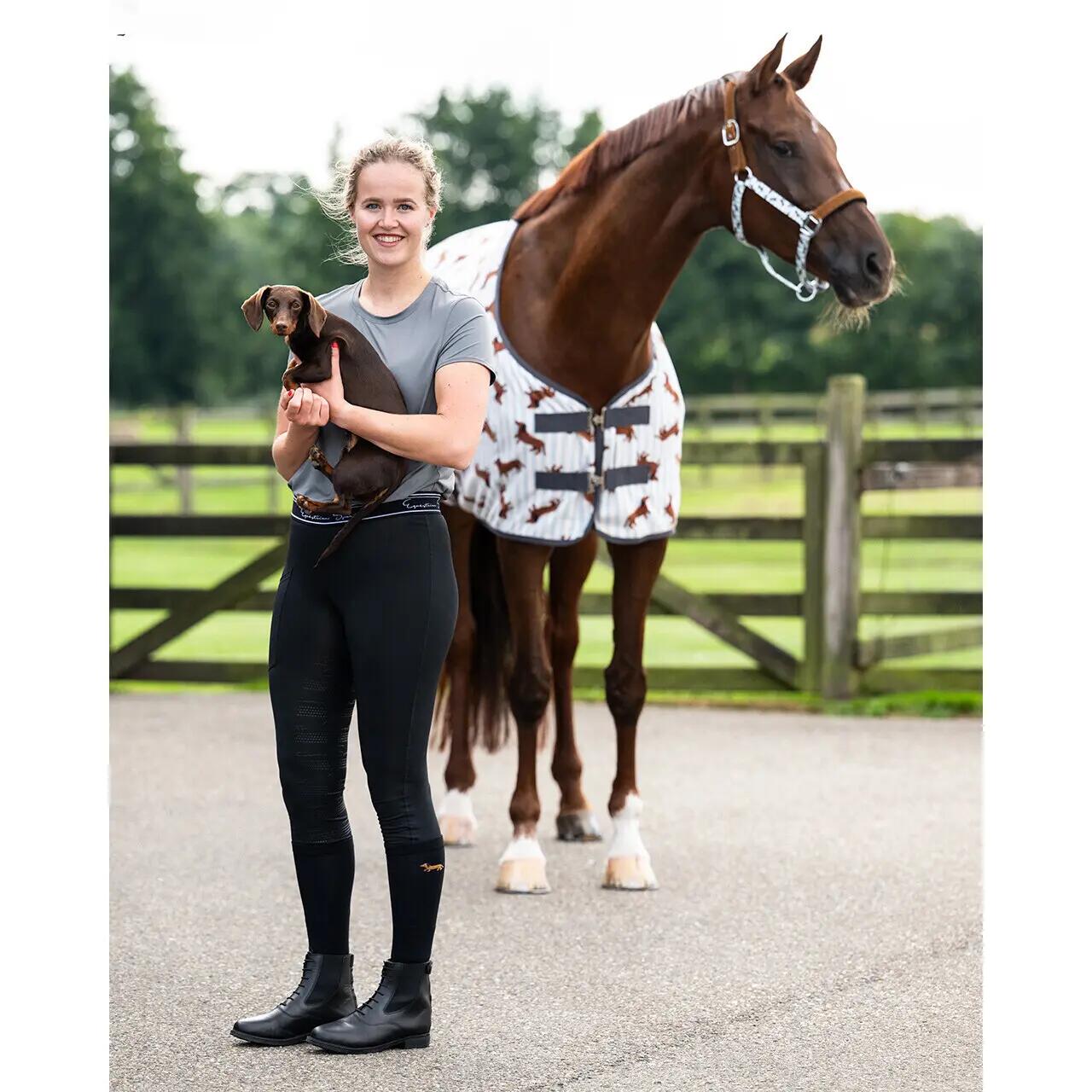 Chaussettes équitation femme QHP Gift Box Stable Buddy (x2) 4/5