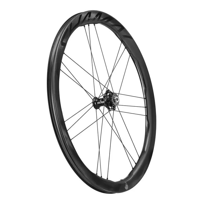 Voorwiel Campagnolo Shamal Dual 4/7