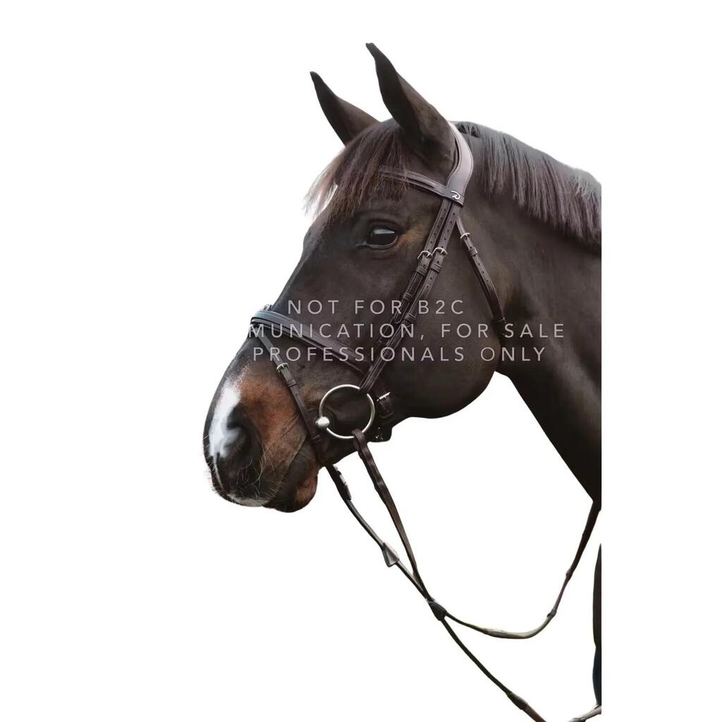 Combined bridle for horse with chains Dy'on